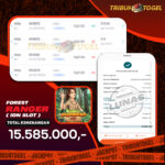 BUKTI PEMBAYARAN SLOT TRIBUNTOGEL