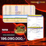 Totomacau-5d