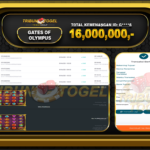 16,000,000
