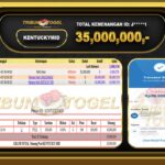 janis01 35jt
