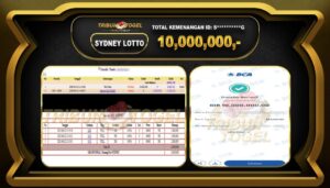 sdy11jt